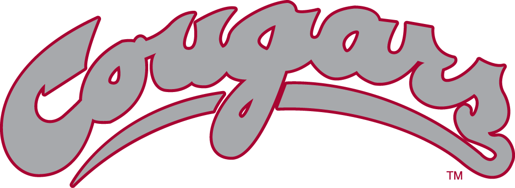 Washington State Cougars 1995-2010 Wordmark Logo v2 iron on transfers for T-shirts
